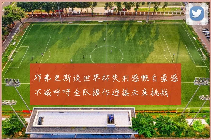 邓弗里斯谈世界杯失利感慨自豪感不减呼吁全队振作迎接未来挑战