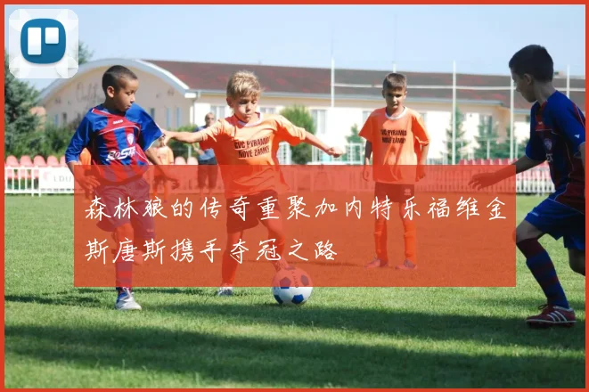 森林狼的传奇重聚加内特乐福维金斯唐斯携手夺冠之路